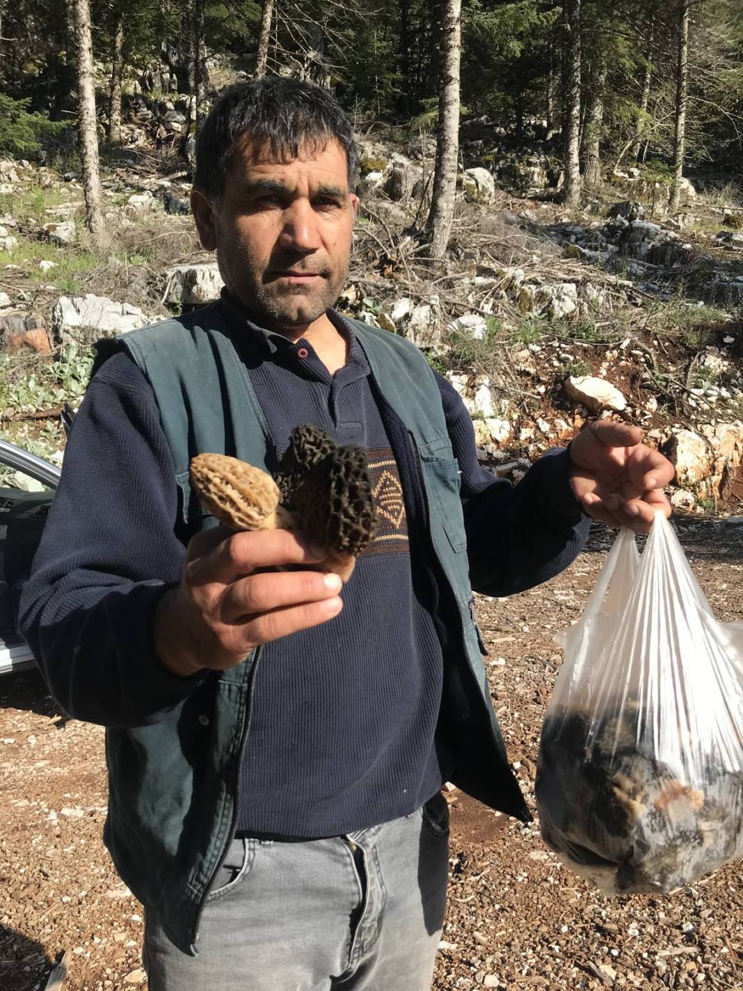 Ormanda toplayıp ton ton para kazanıyor! Sıfır sermayeyle... Kilosu 2 bin 500 TL 1